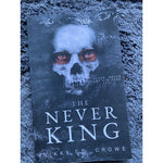The_Never_King_(Vicious_Lost_Boys)_-_Science_Fiction_&_Fantasy_Book