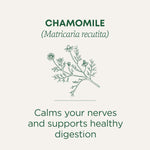 Traditional_Medicinals_Herbal_Tea,_Organic_Chamomile,_16_Tea_Bags_(Pack_of_1)