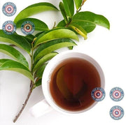 Guanabana_Hojas_(Soursop_Leaves_Tea)_–_Jumbo_4_oz_100%_Natural,_Vegan,_Non-GMO,_Wildcrafted_&_Authentic_Caffeine-Free_Herbal_Tea_Makes_30+_Cups_Beverage