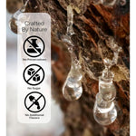 Cerez_Pazari_Natural_Mastic_Gum_0.88_oz_-_Vegan,_Non-GMO,_Sugarless_Made_from_Resin_of_Mastiha_Trees,_Jaw_Exerciser_Candy,_Snack