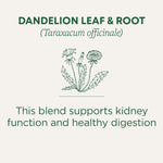 Traditional_Medicinals_Tea,_Organic_Dandelion_Leaf_&_Root,_Supports_Kidney_Function_Healthy_Digestion,_16_Tea_Bags