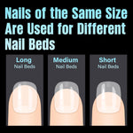 TOMICCA_Short_Almond_Nail_Tips,_240Pcs_Half_Matte_Soft_Gel_Nail_Tips,_12_Sizes_Acrylic_Pre-Shaped_Nails,_Full_Cover_False_Nails_for_Extension_Nail