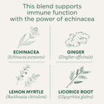 Traditional_Medicinals_Organic_Immune_Zoom_Lemon_Ginger_Tea_-_16_Ct.