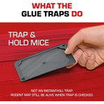 Tomcat_Glue_Traps_Mouse_Size_with_Eugenol_for_Enhanced_Stickiness_for_Mice,_Cockroaches,_and_Spiders