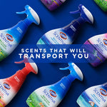 Clorox_-_BB0703_Scentiva_Multi-Use_Fabric_Refresher_Spray_|_Fabric_Freshener_for_Closets,_Upholstery,_Curtains,_and_Carpets_|_Fresh_Brazilian_Blossoms_|_16.9_Ounces