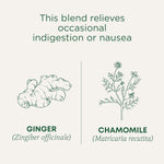 Traditional_Medicinals_Tea,_Organic_Ginger_&_Chamomile,_Occasional_Nausea_Indigestion_Relief,_16_Tea_Bags