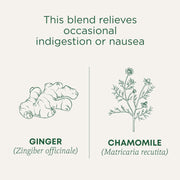 Traditional_Medicinals_Tea,_Organic_Ginger_&_Chamomile,_Occasional_Nausea_Indigestion_Relief,_16_Tea_Bags
