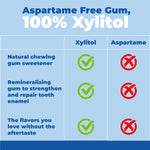 Epic_100%_Xylitol_Peppermint_Chewing_Gum_-_Sugar_Free,_Aspartame_Free_Dental_Gum_-_Supports_Oral_Health_&_Fresh_Breath_-_50_Pieces