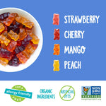YumEarth_Organic_Fruit_Flavored_Gummy_Bears,_10-_.7oz._Snack_Packs,_Allergy_Friendly,_Gluten_Free,_Non-GMO,_No_Artificial_Flavors_or_Dyes