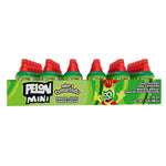 Pelon_Pelo_Rico_Mini_Tamarind_Candy,_0.45_oz,_36_Count_(Pack_of_1)