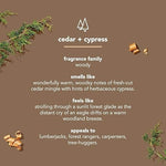 Method_Men_Body_Wash,_Cedar_+_Cypress,_Paraben_and_Phthalate_Free,_18_fl_oz_(Pack_of_1)