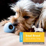 KONG_Puppy_-_Natural_Teething_Rubber_Chew_Toy_for_Dogs_-_Stuffable_Dog_Toy_for_Extended_Playtime_-_Chew_&_Fetch_Toy_for_Puppies_-_for_Small_Puppies