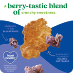 Kashi_Breakfast_Cereal,_Organic,_Whole_Grain,_Blueberry_Clusters,_17.2oz_Box_(1_Box)