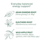 Traditional_Medicinals_Organic,_Stress_Ease_Focus,_Ginseng_Wild_Apple_Mint_Tea_-_Balanced_Energy_Support_&_Adaptogens_-_Kosher,_Non-GMO,_Caffeine-Free,_Compostable_-_16_Tea_Bags