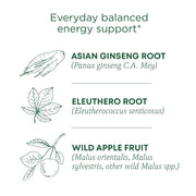 Traditional_Medicinals_Organic,_Stress_Ease_Focus,_Ginseng_Wild_Apple_Mint_Tea_-_Balanced_Energy_Support_&_Adaptogens_-_Kosher,_Non-GMO,_Caffeine-Free,_Compostable_-_16_Tea_Bags