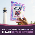 Wiley_Wallaby_Licorice_10_Ounce_Classic_Gourmet_Soft_&_Chewy_Australian_Blasted_Berry_Candy_Twists,_1_Pack