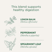 Traditional_Medicinals_Tea,_Organic_Triple_Mint,_Supports_Healthy_Digestion,_Includes_16_Tea_Bags