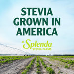 SPLENDA_Stevia_Zero_Calorie_Sweetener,_Plant_Based_Sugar_Substitute_Granulated_Powder,_19_oz_Jar