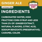 Canada_Dry_Ginger_Ale_Soda,_12_fl_oz_cans,_12_pack