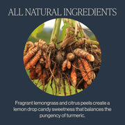 Rishi_Tea_Turmeric_Ginger_Herbal_Tea_-_Organic_Sachet_Bags,_Caffeine_Free_Ayurvedic_Digestive_Blend_with_Spicy_Ginger_&_Citrus_-_15_Count_(Pack_of_1)