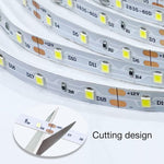DAYBETTER_Daylight_White/Warm_White_LED_Strip_Light,_16.4FT/20ft/40FT_Dimmable_Bright_Rope_Lighting,_6500K_24V_Strips,_360_LEDs_2835_Tape_Lights_for_Bedroom,_Kitchen,_Mirror,_Home_Decoration