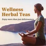 FullChea_-_Lemon_Ginger_Tea_Bags,_50_Teabags_-_Pleasantly_Spicy_&_Warming_-_Non-GMO_-_Caffeine-free_-_Support_Healthy_Digestion_&_Boost_Immunity