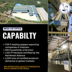 MISS_VIETSPICE_Lemongrass_Powder,_8_Oz_(226_gr),_Non-GMO,_Soured_from_Vietnam,_Ground_Lemongrass,_Lemongrass_Herb,_Lemon_Grass_Stalks,_Flavored_Herb_For_Cooking,_Smoothies,_Tea