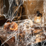 Land_Guard_200_sqft_Spider_Web,_Bonus_with_10_Artificial_Spiders,_Fabric_Spider_Webbing,_Cobweb_Halloween_Decor_for_Indoor_and_Outdoor_Party_Supplies