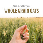 McCann's_Instant_Irish_Oatmeal,_Regular,_12_Packets