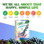 True_Lemon_Energy_Blueberry_Acai_6_Count
