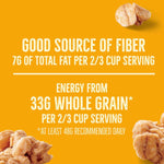Nature_Valley_Protein_Granola,_Oats_and_Honey_Granola,_Resealable_Snack_Pouch,_Family_Size,_17_oz