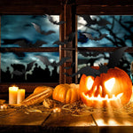 152_Pcs_Black_Bats_Big_Sizes_Halloween_Scary_Bats_for_Home_Window,Room_Decor_DIY_Halloween_Party_Supplies