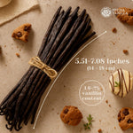 PREMA_VANILLA_Madagascar_Vanilla_Beans,_Grade_A_Bourbon_Pods_For_Making_Vanilla_Extract,_Good_For_Cooking_And_Baking,_Rich_and_Intense_Aroma,_Pack_of_10_Beans_Plus_1_Gift_Bean