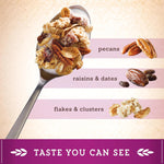 Great_Grains_Raisins_Dates_and_Pecans_Breakfast_Cereal,_Raisin_Cereal_with_Sweet_Dates_and_Granola_Clusters,_Non-GMO_Project_Verified,_19_OZ_Box