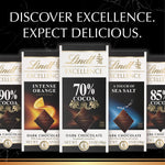 Lindt_Excellence_Sea_Salt_Bar,_3.5_oz
