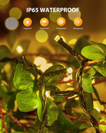 Brightown_2_Pack_Solar_Christmas_Lights,_LED_Solar_String_Lights_Outdoor_Waterproof_with_8_Modes,_Solar_Light_Outdoor_for_Patio_Yard_Tree_Garden_Party_Decorations