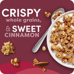 Kashi_GO_Protein_Cereal,_10g_Protein,_10g_Fiber,_Cinnamon_Crunch,_17.4oz_Box_(1_Box)