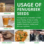 Jiva_Organic_Fenugreek_Seeds_7_Ounce_–_Non-GMO,_Gluten_Free,_All_Natural_Fenugreek_Spice_–_Organic_Fenugreek_Seeds_for_Hair_Growth,_Cooking_&_Sprouting_-_Methi_Seeds_for_Methi_Dana_Water_-_Raw_&_Natural,_Product_of_India