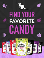 Wiley_Wallaby_7.05_Ounce_Classic_Black_Gourmet_Australian_Style_Soft_&_Chewy_Licorice_Candy_Bean,_1_Pack
