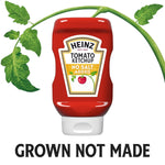 Heinz_Tomato_Ketchup_with_No_Salt_Added,_14_oz_Bottle
