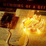 1_Pack_16.4ft_Battery_Operated_String_Lights_with_Timer,_Warm_White_with_Synchronized_Twinkle_Mode,_Fairy_Lights_Battery_Powered,_50_LEDs,_Idea_for_Christmas_Bedroom_Party_Wedding