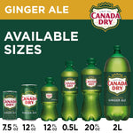 Canada_Dry_Ginger_Ale_Soda,_12_fl_oz_cans,_12_pack