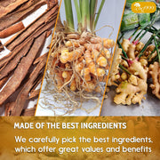 30_Bags_Premium_Turmeric_Ginger_Cinnamon_Tea,_Improve_Digestion,_Support_Brain,_Weight,_Skin_and_Sleep,_Eco-Conscious_Tea_Bags_and_Premium_Natural_Ingredients._Turmeric_Ginger_Herbal_Tea._No_Sugar,_No_Caffeine,_No_Gluten,_Vegan.