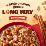 Cheerios_Oat_Crunch_Cinnamon_Breakfast_Cereal,_Made_with_Whole_Grain,_Family_Size,_24_oz