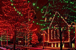 612_Vermont_50_Red_Christmas_Lights_on_a_White_Wire_String,_UL_Approved,_Indoor_and_Outdoor_Use,_9_Foot_of_Lighted_Length,_11_Foot_of_Total_Length
