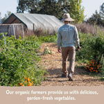 Amy's_Chilis,_Light_in_Sodium_Organic_Medium_Chili,_14.7_Ounce