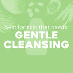 Pink_Sea_Salt_&_Rosewater_Sulfate-Free_Soothing_Body_Scrub_with_Healing_Rose_Quartz,_Gentle_Exfoliating_Daily_Body_Wash_to_Soften_&_Smooth_Skin,_19.5_Fl_Oz