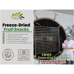 CHAVI_Freeze-Dried_Diced_Dragon_Fruit_Snack_-_2_Oz_-_Healthy_1_Ingredient_Superfood_-_No_Added_Sugars_or_Preservatives_-_Non-GMO,_Vegan,_Gluten-Free…_Natural_Dry