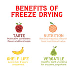 Nature’s_Turn_Freeze-Dried_Fruit_Snacks,_Sour_Kiwi_Crisps,_Pack_of_6_(0.53_oz_Each)_Dry