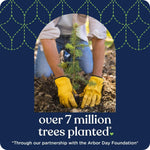 Quilted_Northern_Ultra_Soft_&_Strong_Toilet_Paper,_6_Mega_Rolls_=_24_Regular_Rolls,_5X_Stronger*,_Premium_Soft_Toilet_Tissue_with_Recyclable_Paper_Packaging_-_Packaging_May_Vary_Sheets_Wipes